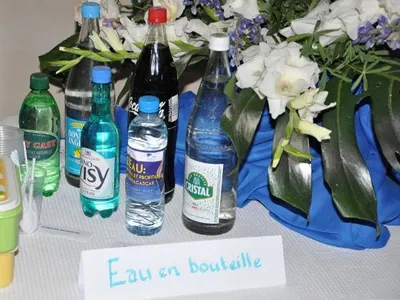 Restitution des Mini-mémoires :Groupe BRAVO : « L'Eau est un besoin vital et profitable : cas de Mcar », photo 2